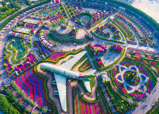Dubai Miracle Garden Ticket