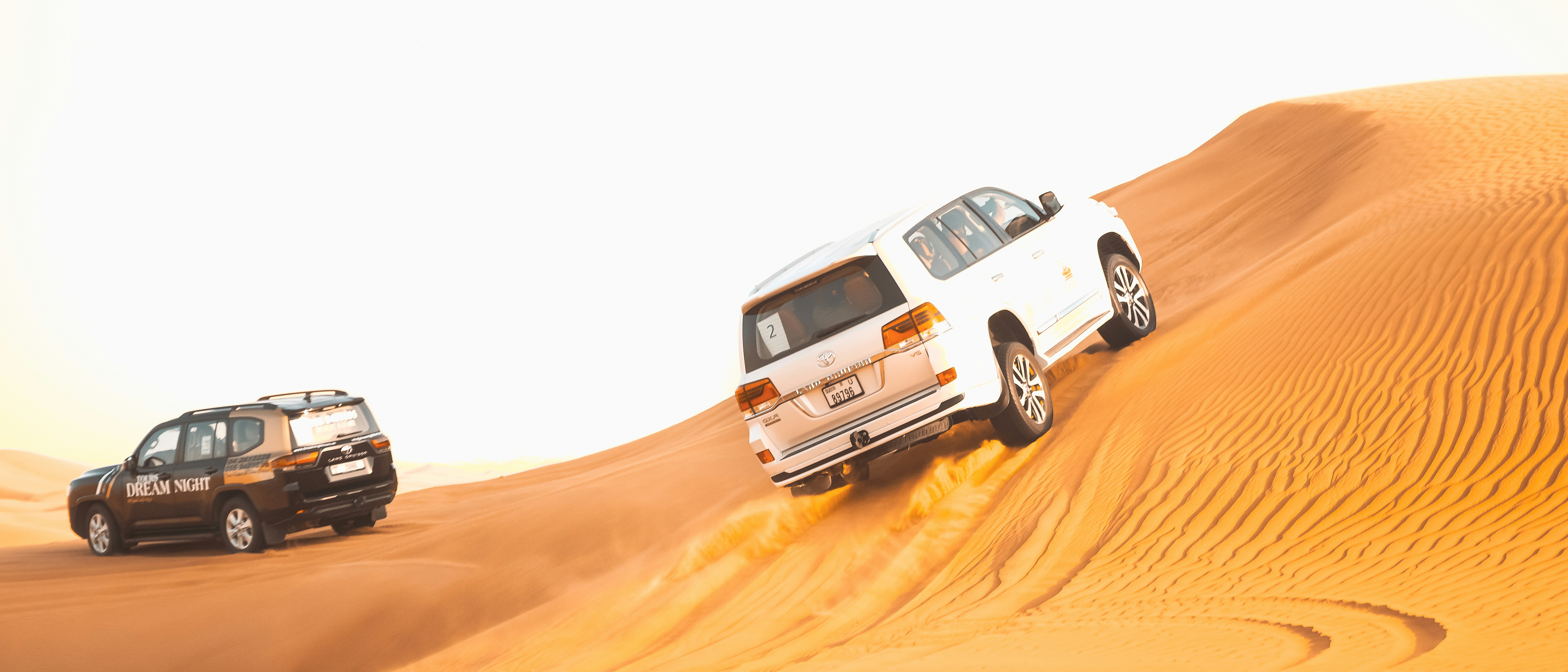 Morning Desert Safari with Quad Bike