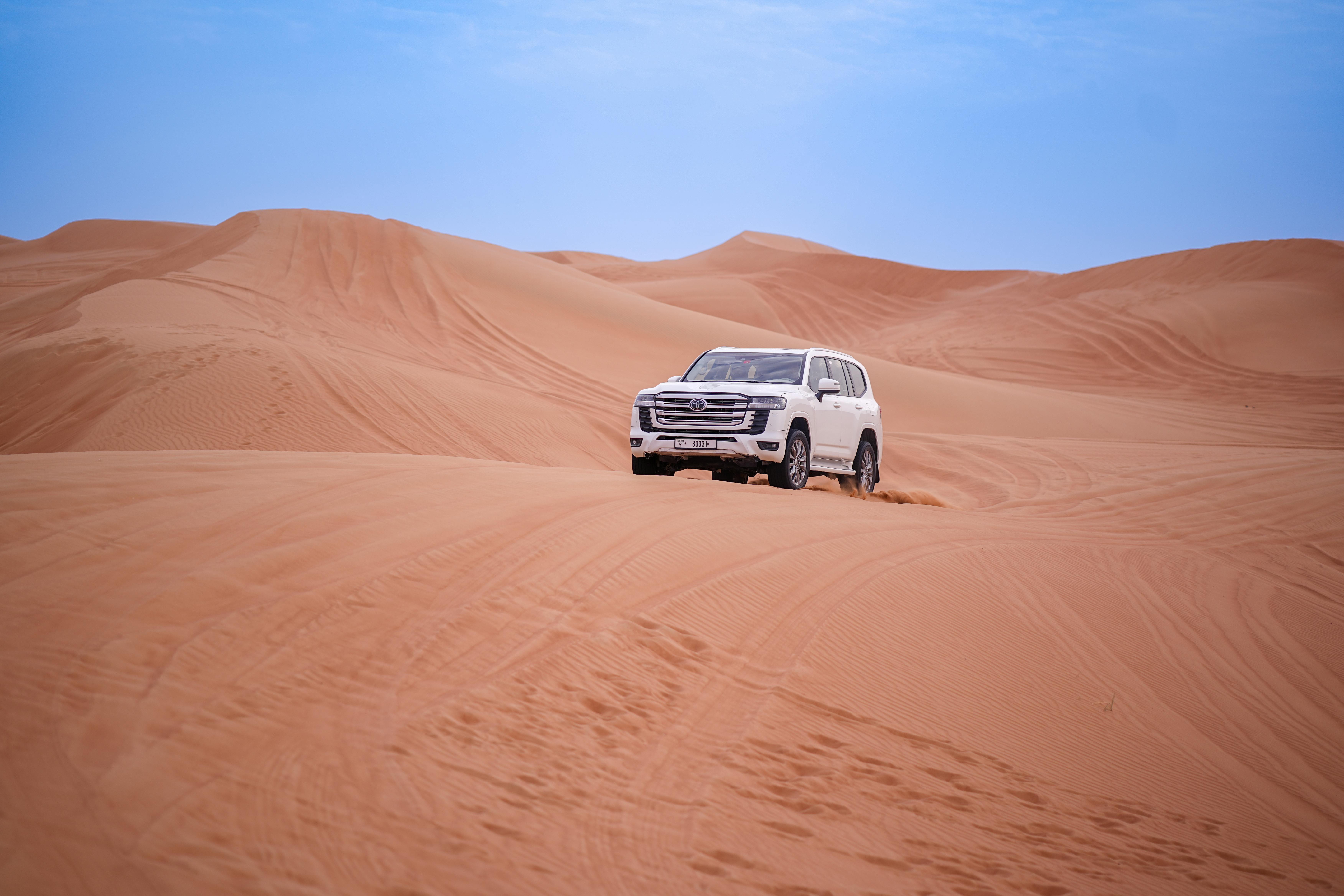 Private VIP Desert Safari