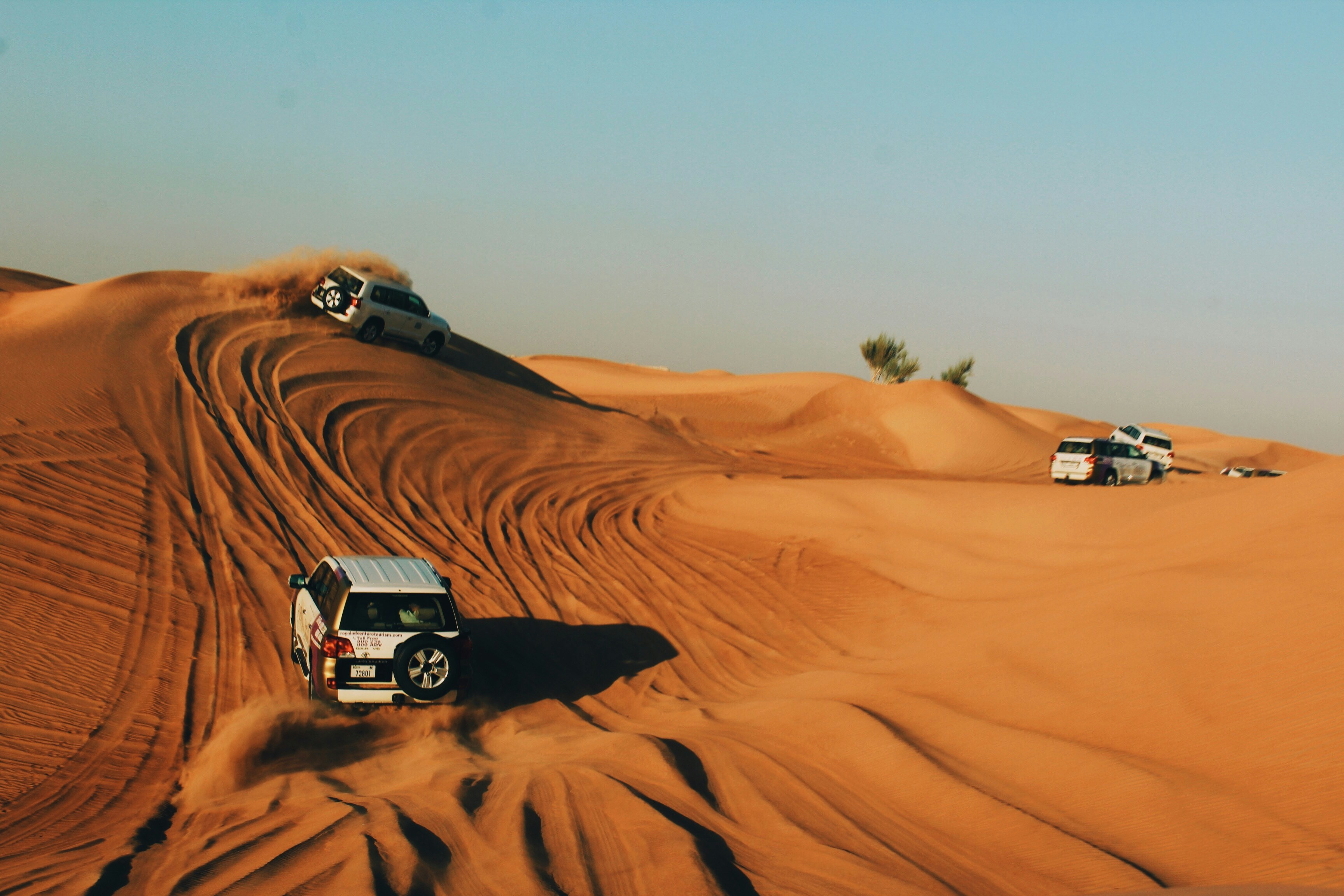 RAK Desert Safari with Dinner