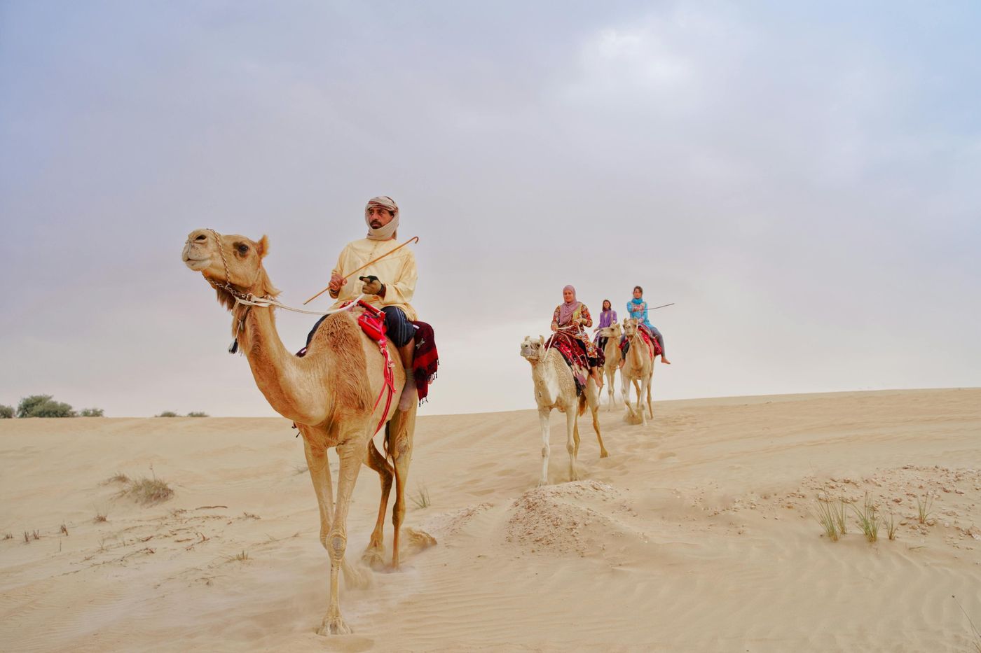 Evening Desert Safari with BBQ Dinner photo 3