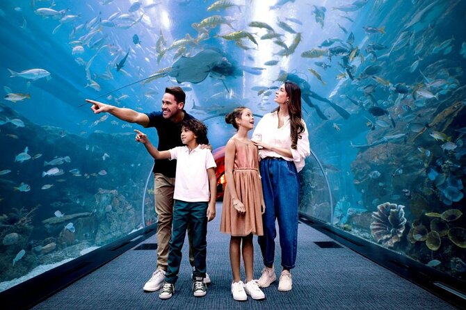Atlantis The Lost Chambers Aquarium