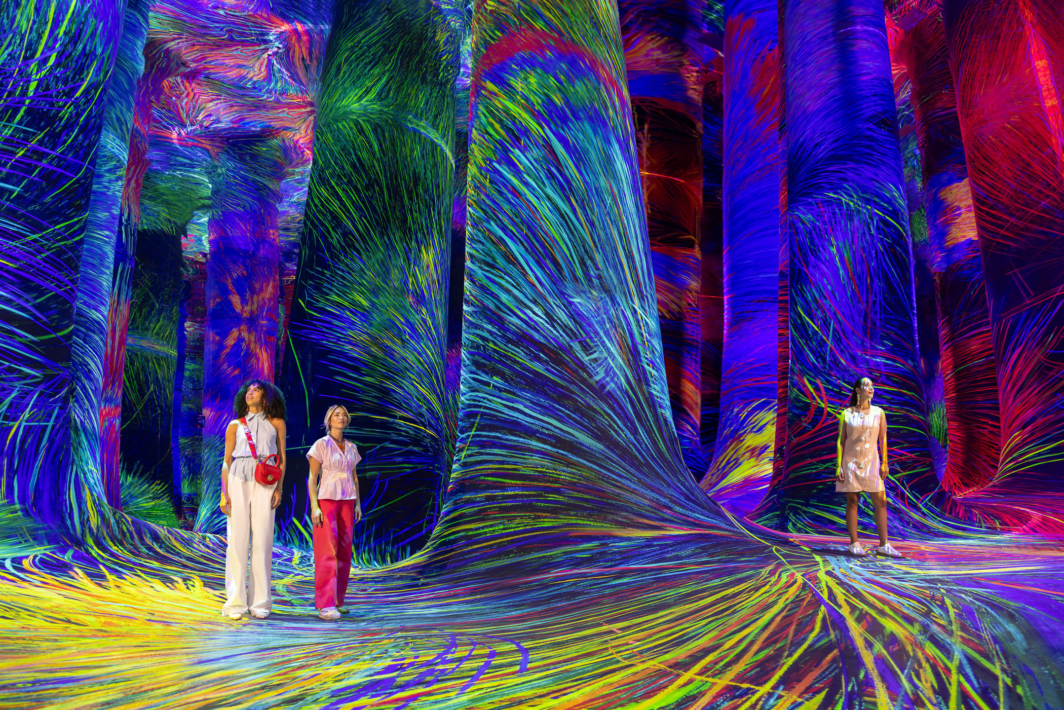 teamLab Phenomena Abu Dhabi Tickets