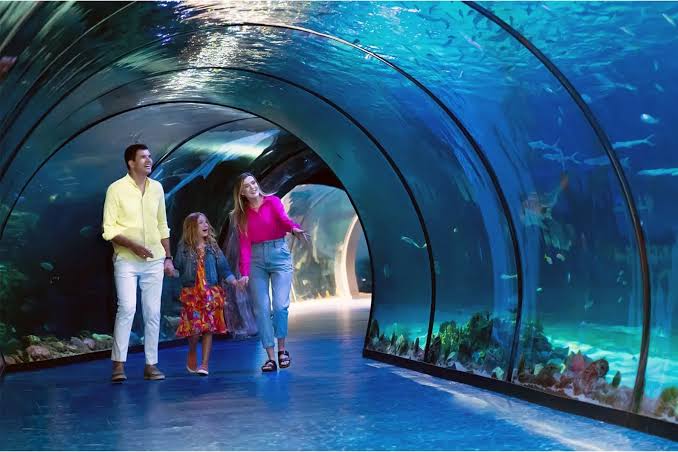 The National Aquarium Abu Dhabi Tickets