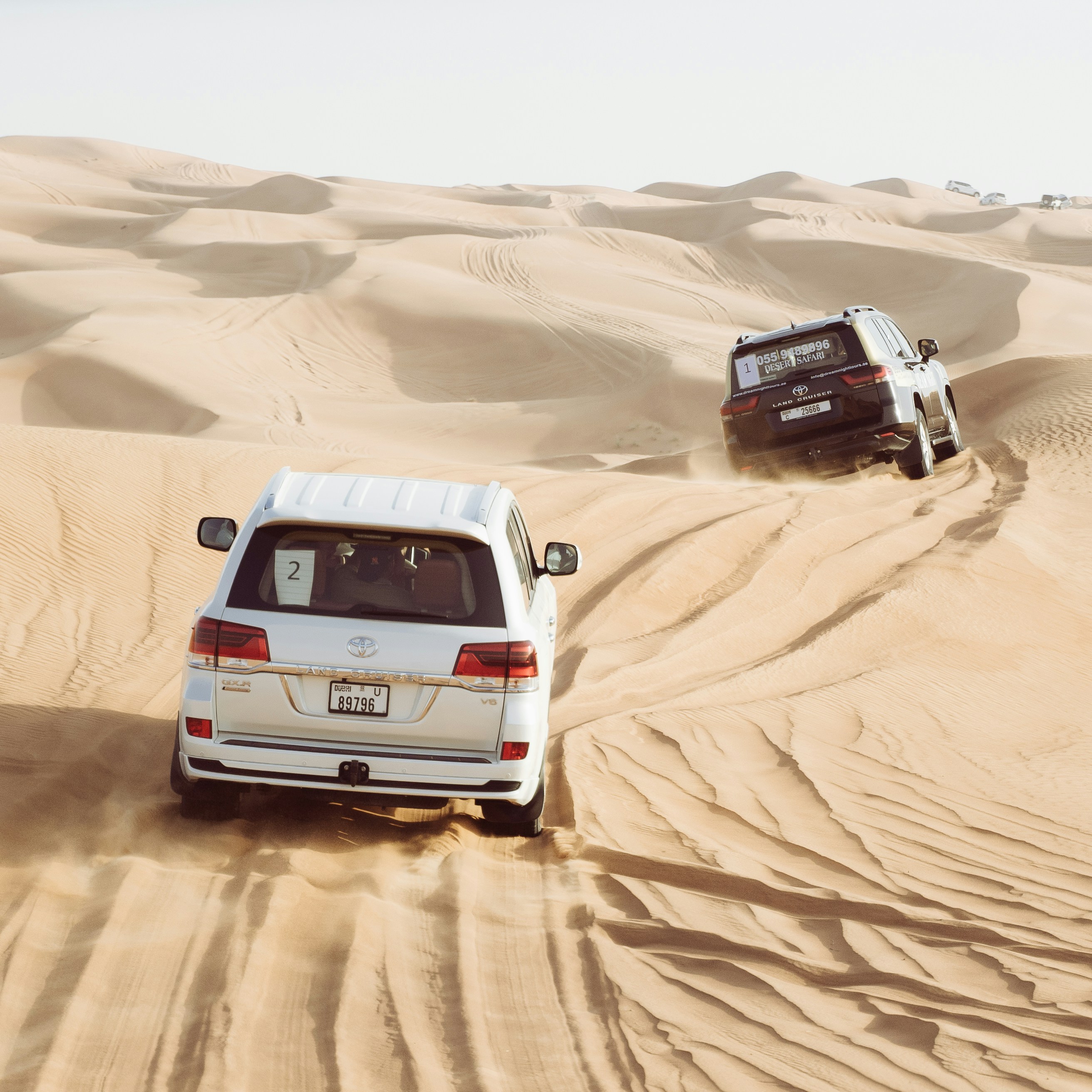Desert Safari with Dinner in Ras Al Khaimah