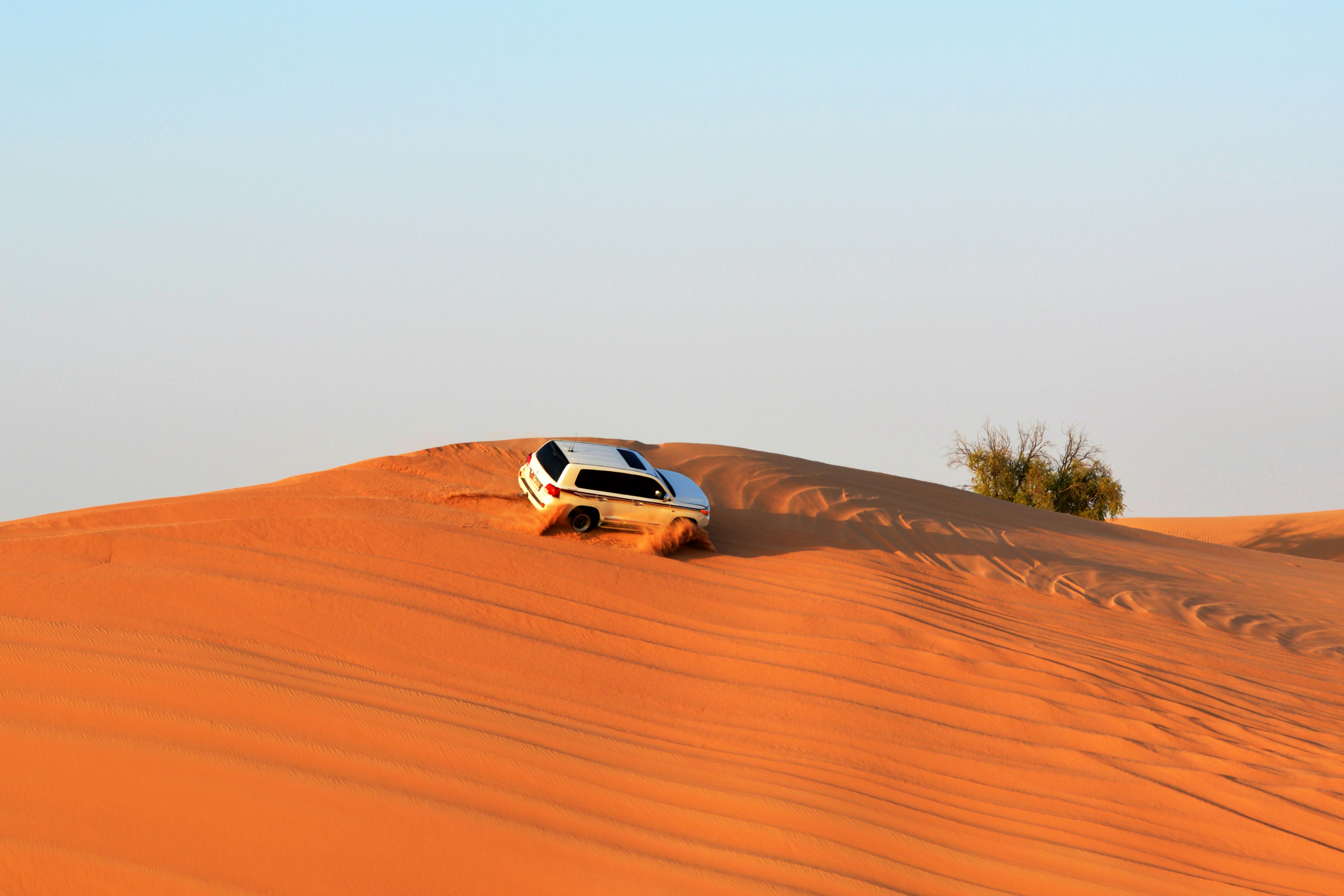 Mega Safari with Dinner in Ras Al Khaimah