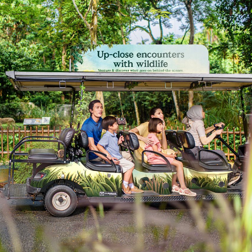 Singapore Zoo with Tram Ride