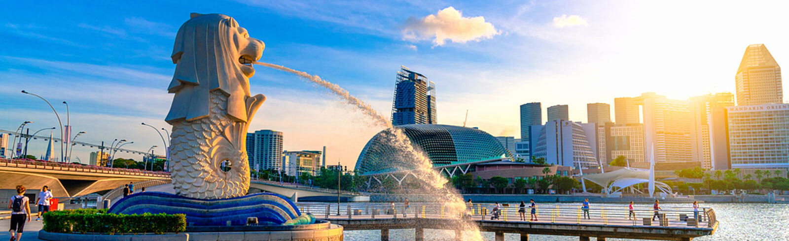 Singapore City Tour with Guide