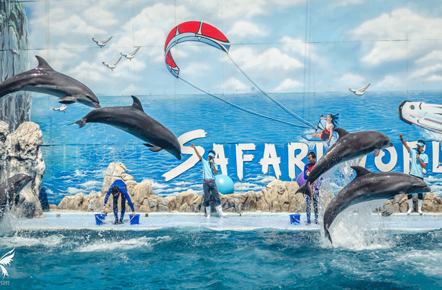 Safari World Bangkok Tickets