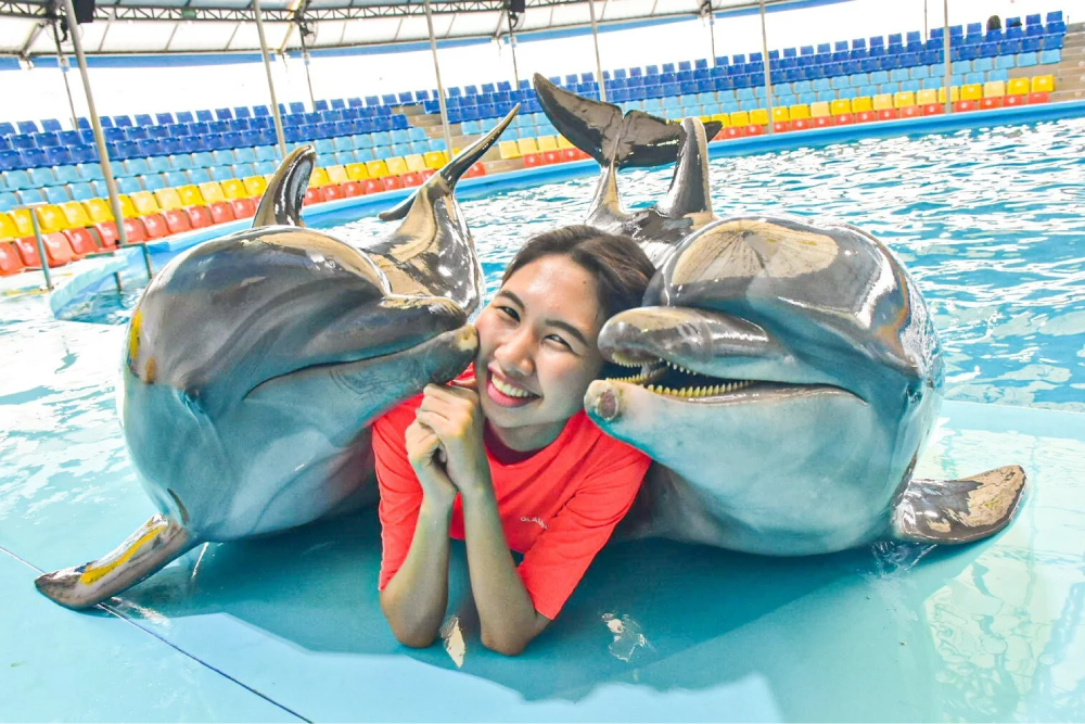 Phuket Dolphin Bay Tickets